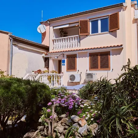 Jasmina *